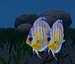 Breeding