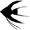 Scalare